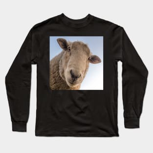 Funny Sheep Lover Design Are You Looking At Me? Funny Sarcasm Farmhouse Decor & Gifts Long Sleeve T-Shirt